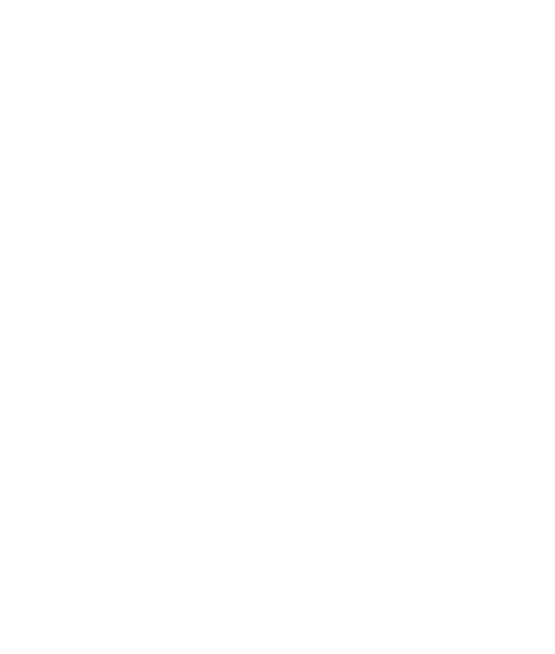 BWitched Logo